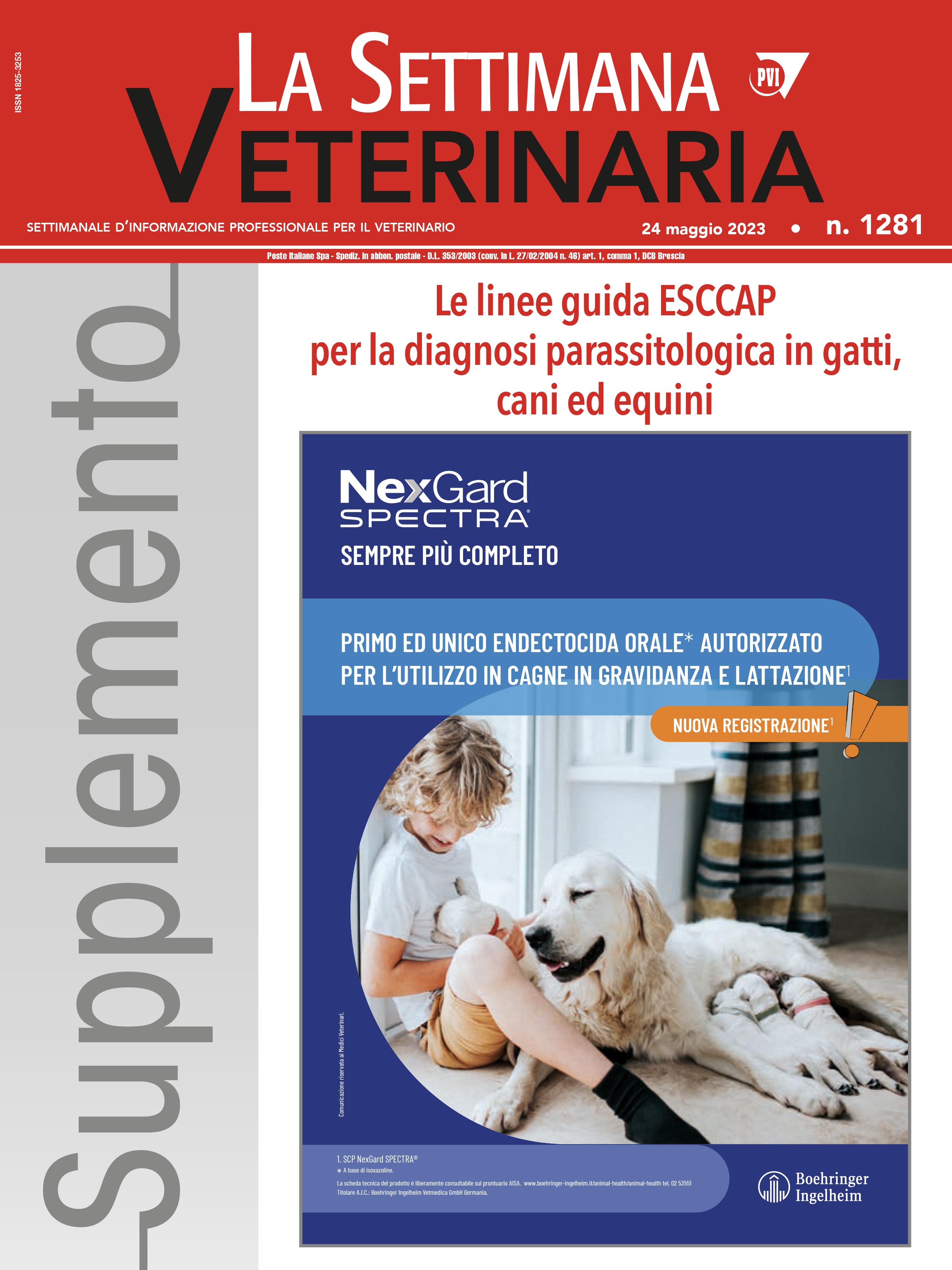 copy_supplemento_sv_1281_cop.jpg